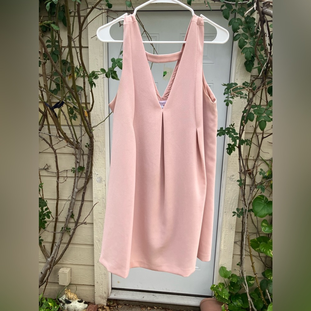 Shift style BCBG dress